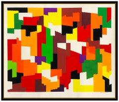 Yaacov Agam Original Color Silkscreen Abstract Hand Signed Modern Op Framed Art