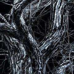 Tree of Soul. 2020, oil on canvas, 150x150cm