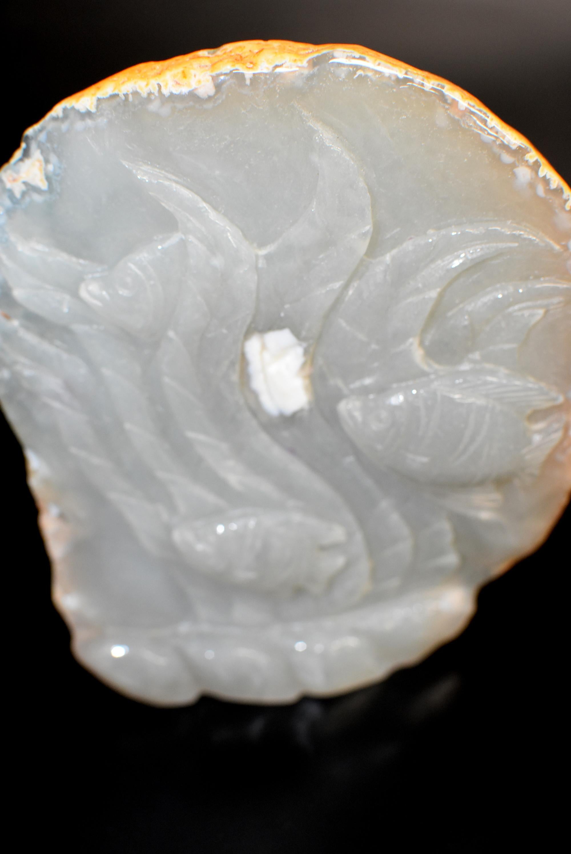 Poisson Agate en vente 4
