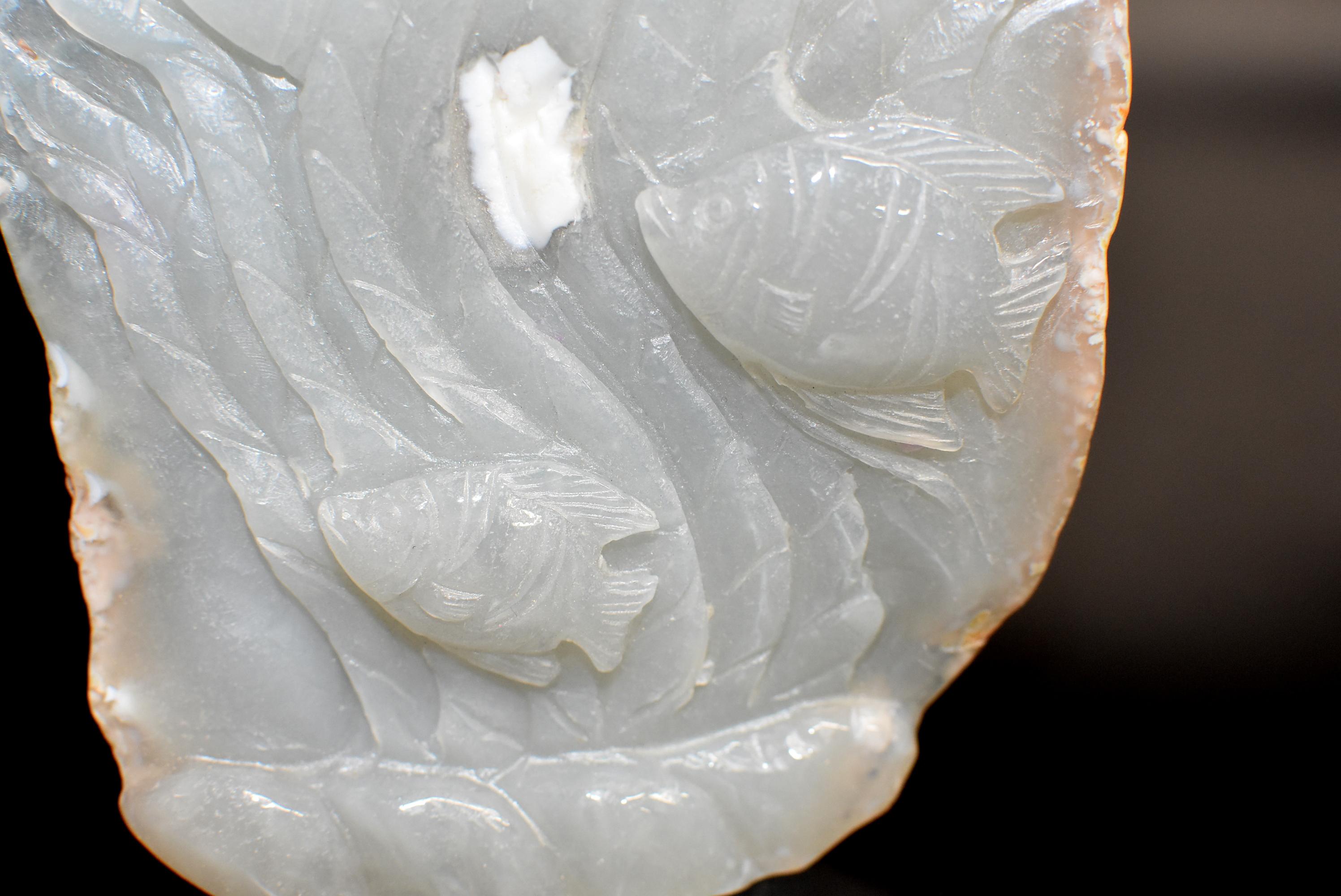 Poisson Agate en vente 5