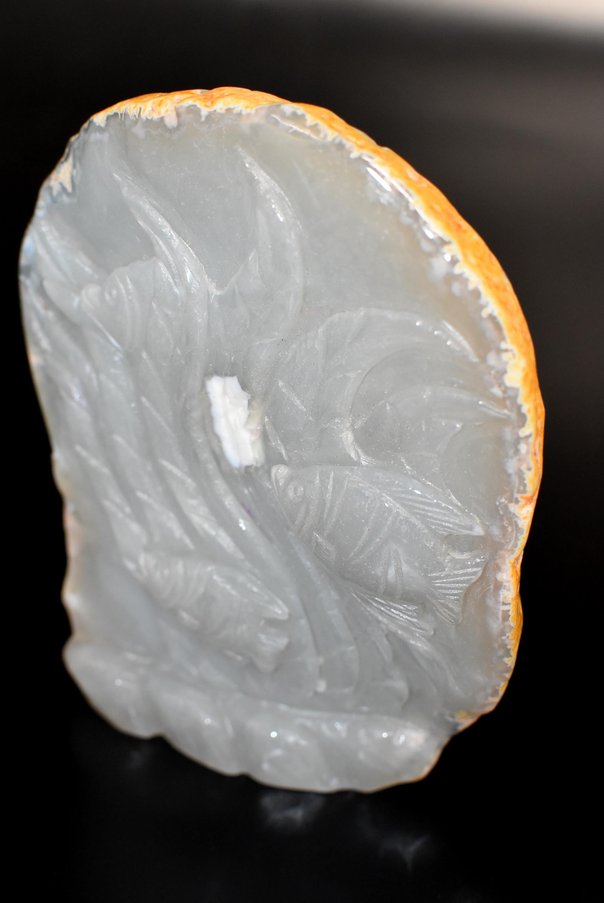 Poisson Agate Bon état - En vente à Somis, CA