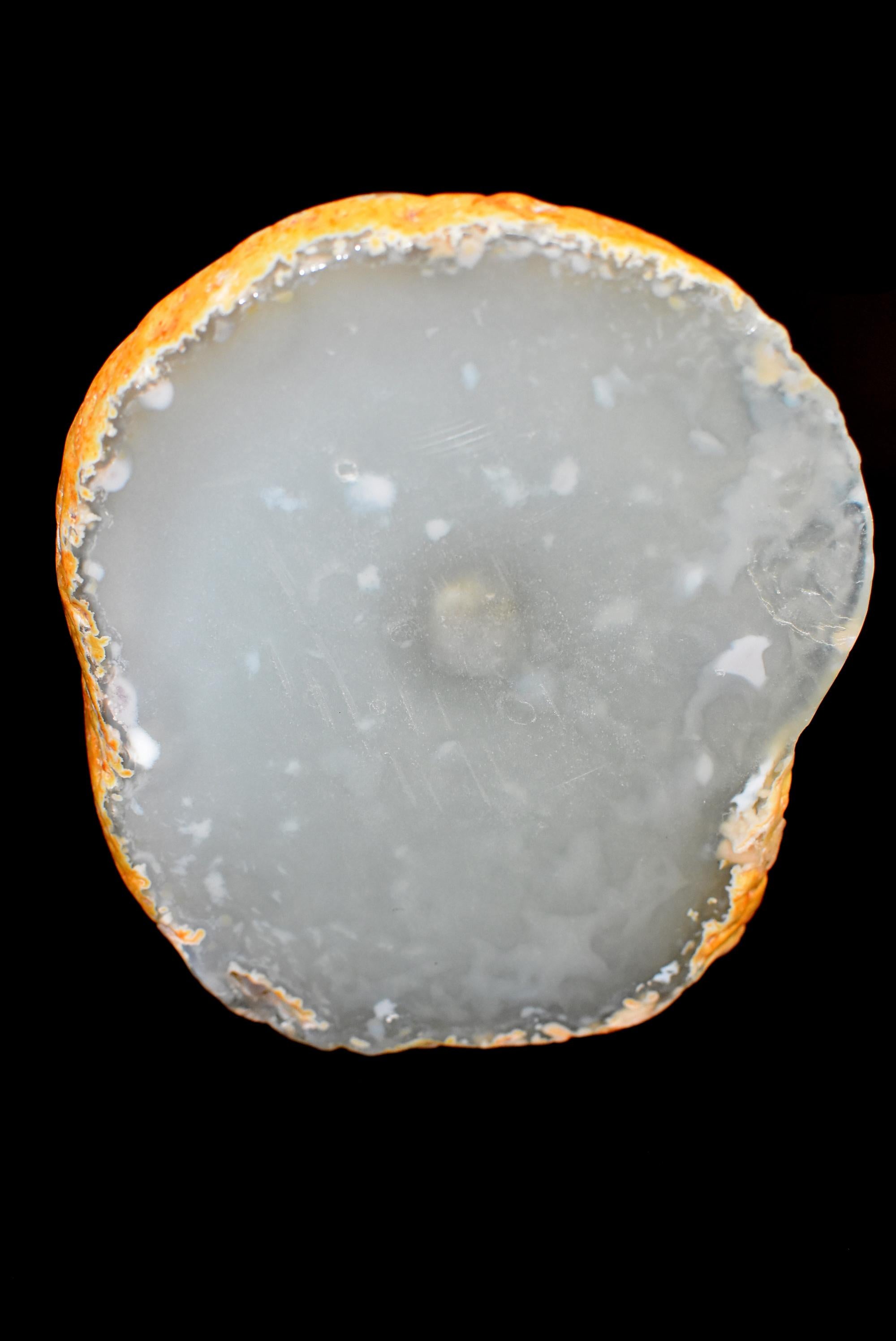 Poisson Agate en vente 1