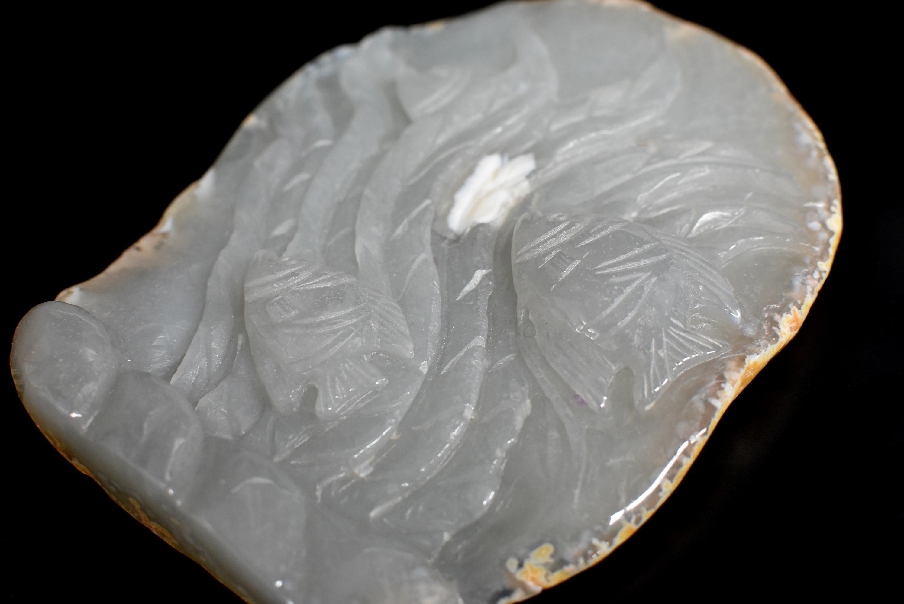 Poisson Agate en vente 3