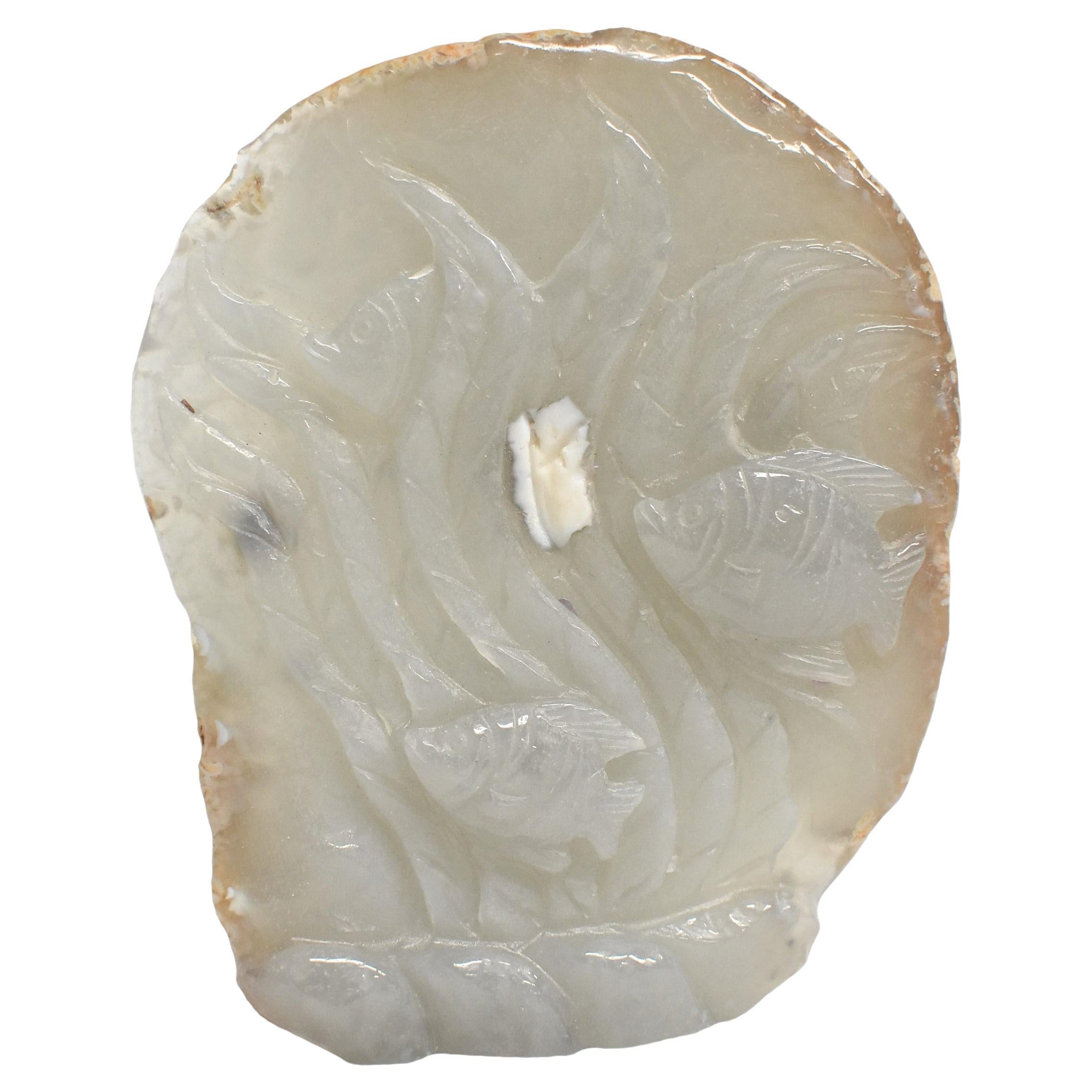 Agate Fish
