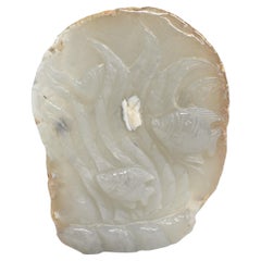 Agate Fish