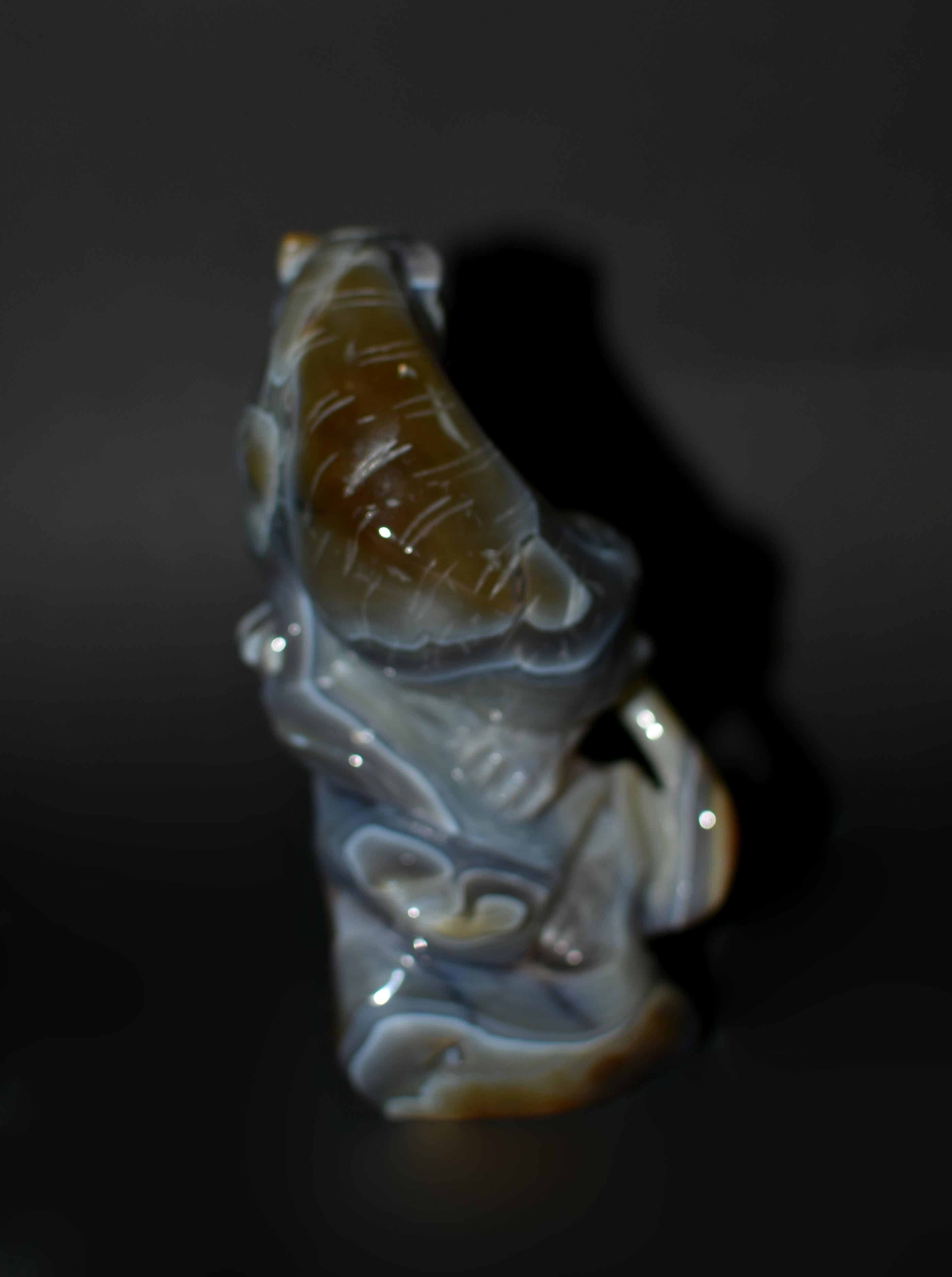 Agate Tiger on Amethyst Rock For Sale 5