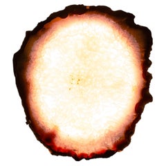 Agata Applique placcata in oro rosa, LED, Stefano Piccini, Italia