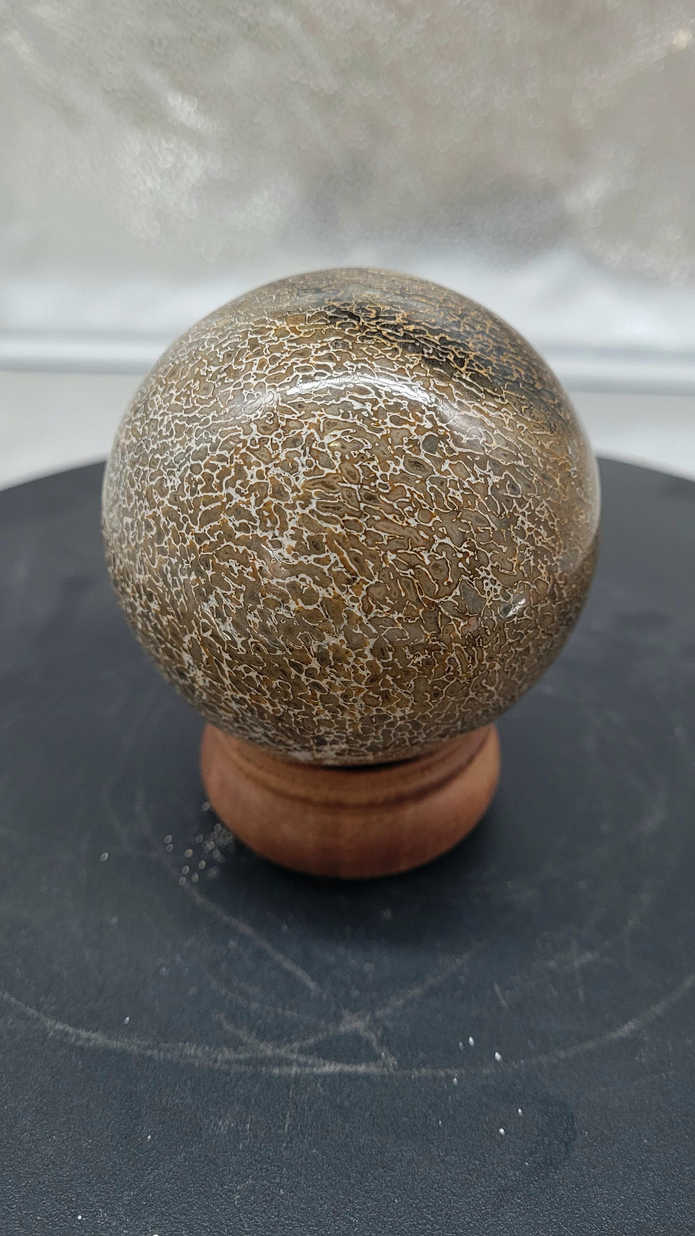 Agathized Dinosaur Bone Sphere. Polished For Sale 1