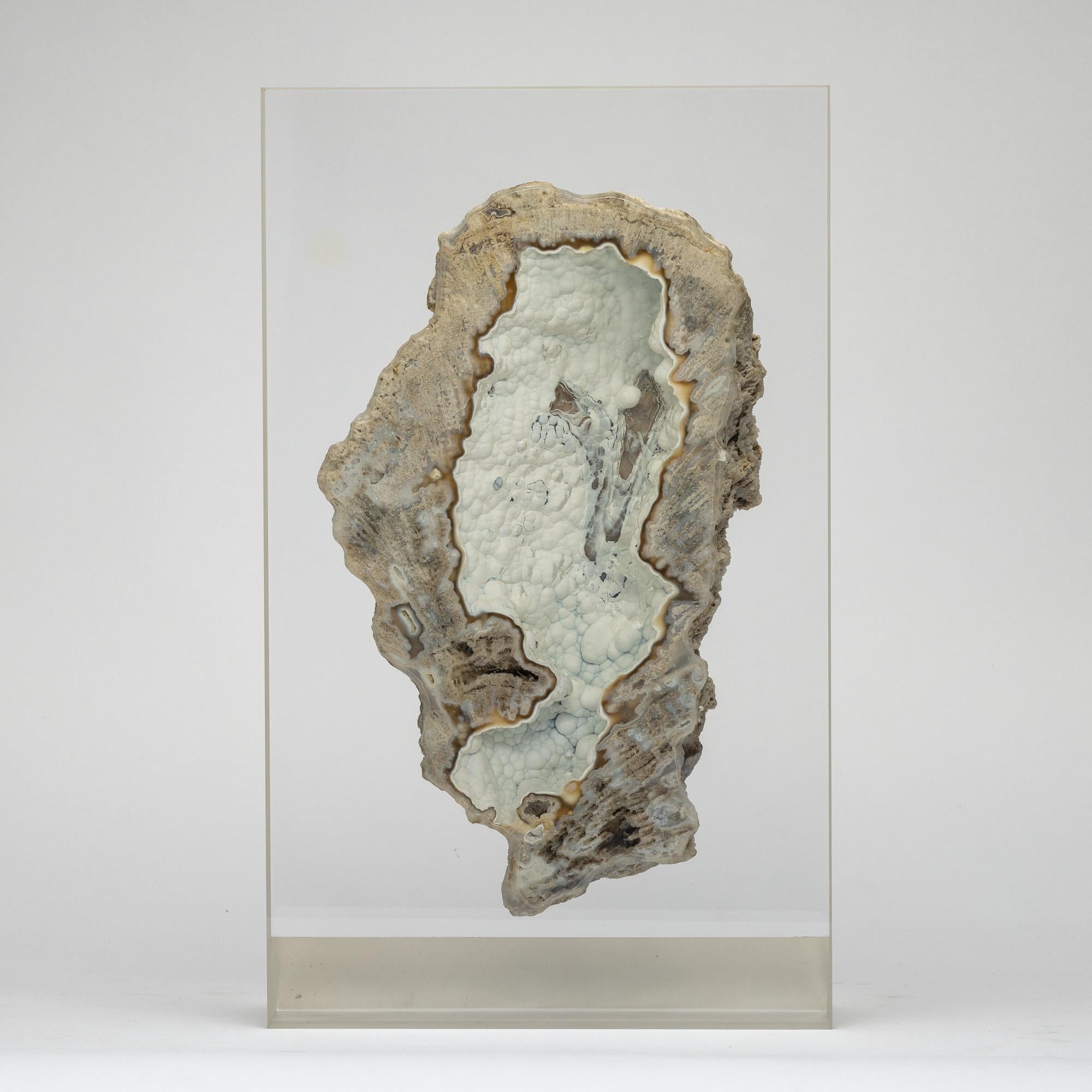 Organic Modern Agatized fossil Coral mounted on custom acrylic display, Oligocene era For Sale