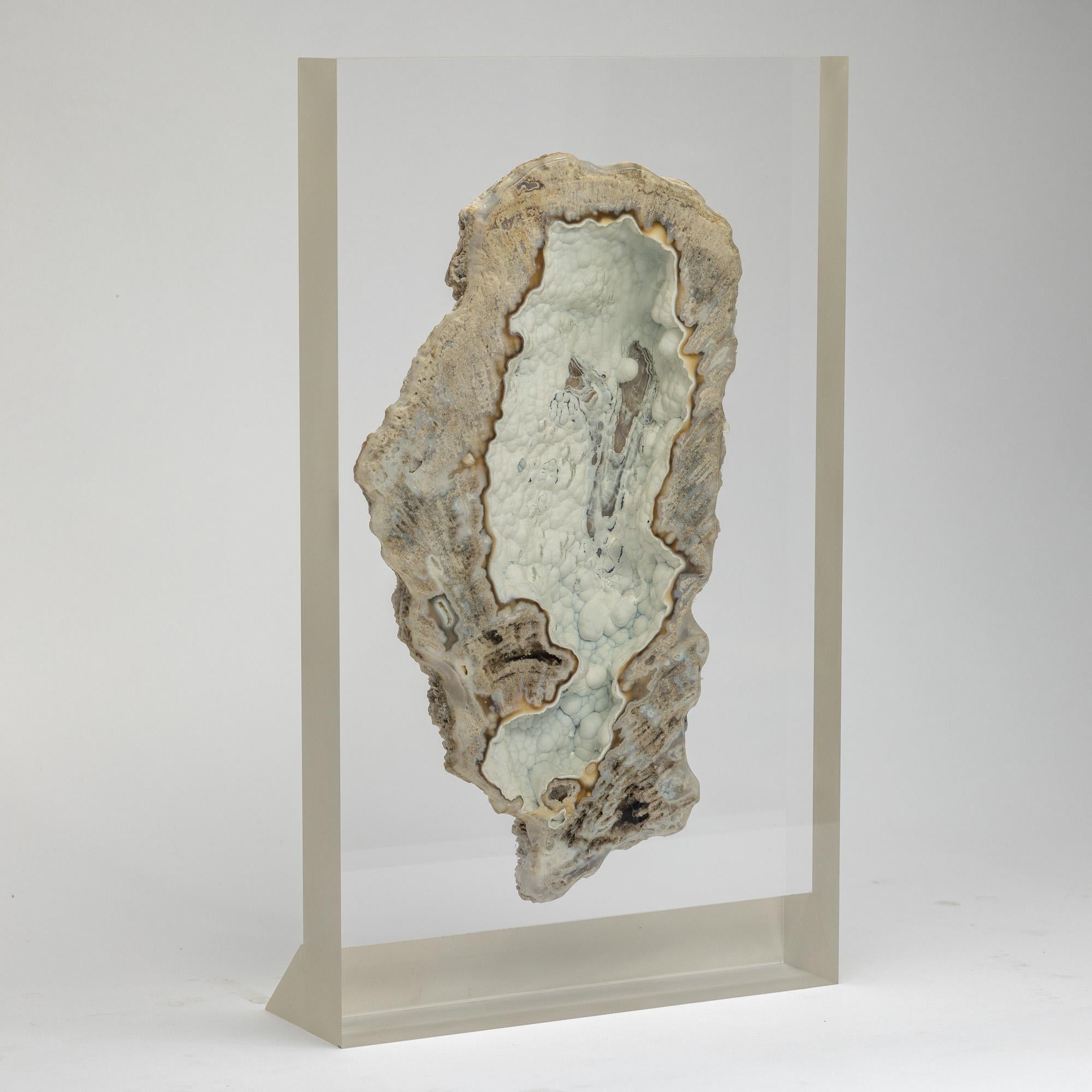 Mexican Agatized fossil Coral mounted on custom acrylic display, Oligocene era For Sale