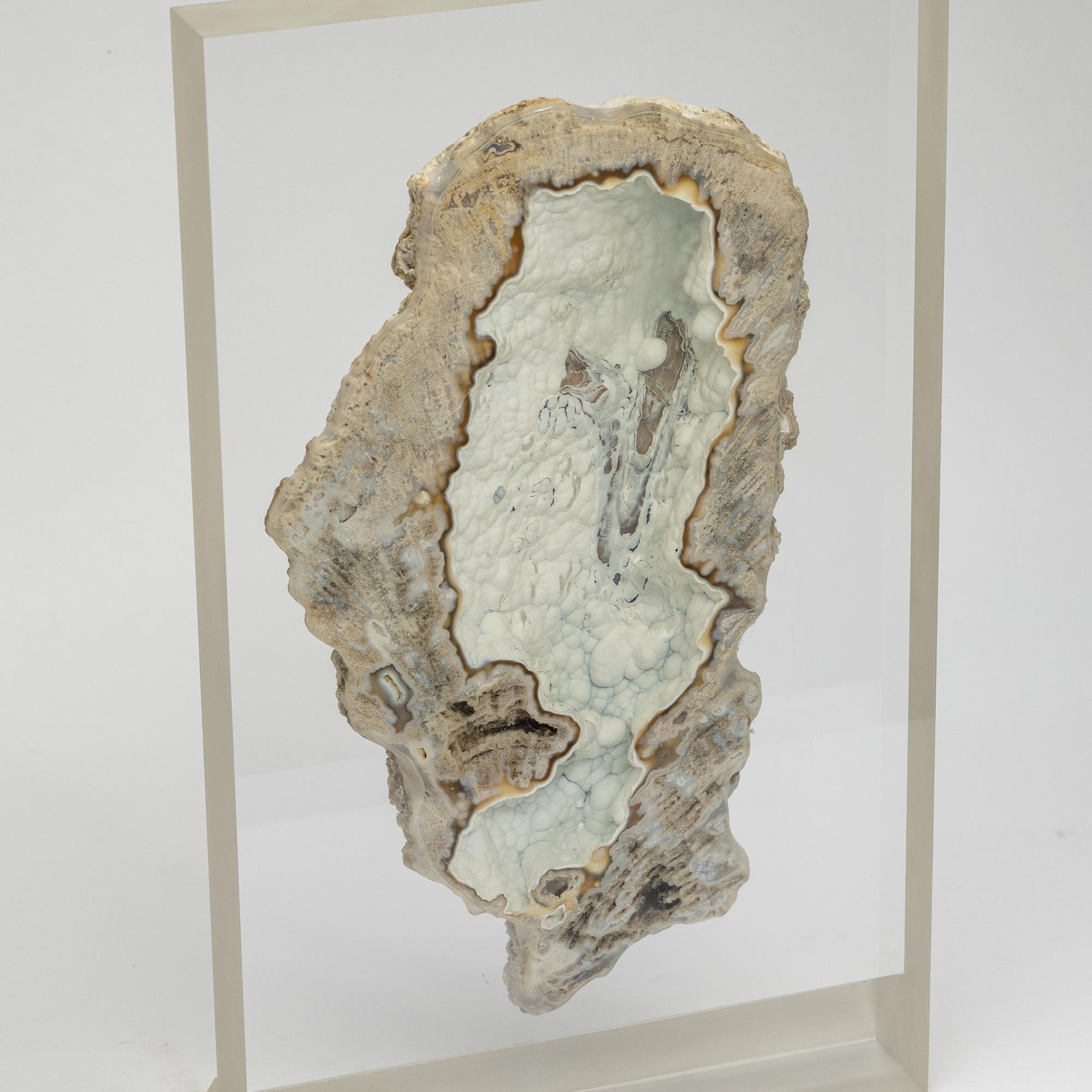 Contemporary Agatized fossil Coral mounted on custom acrylic display, Oligocene era For Sale