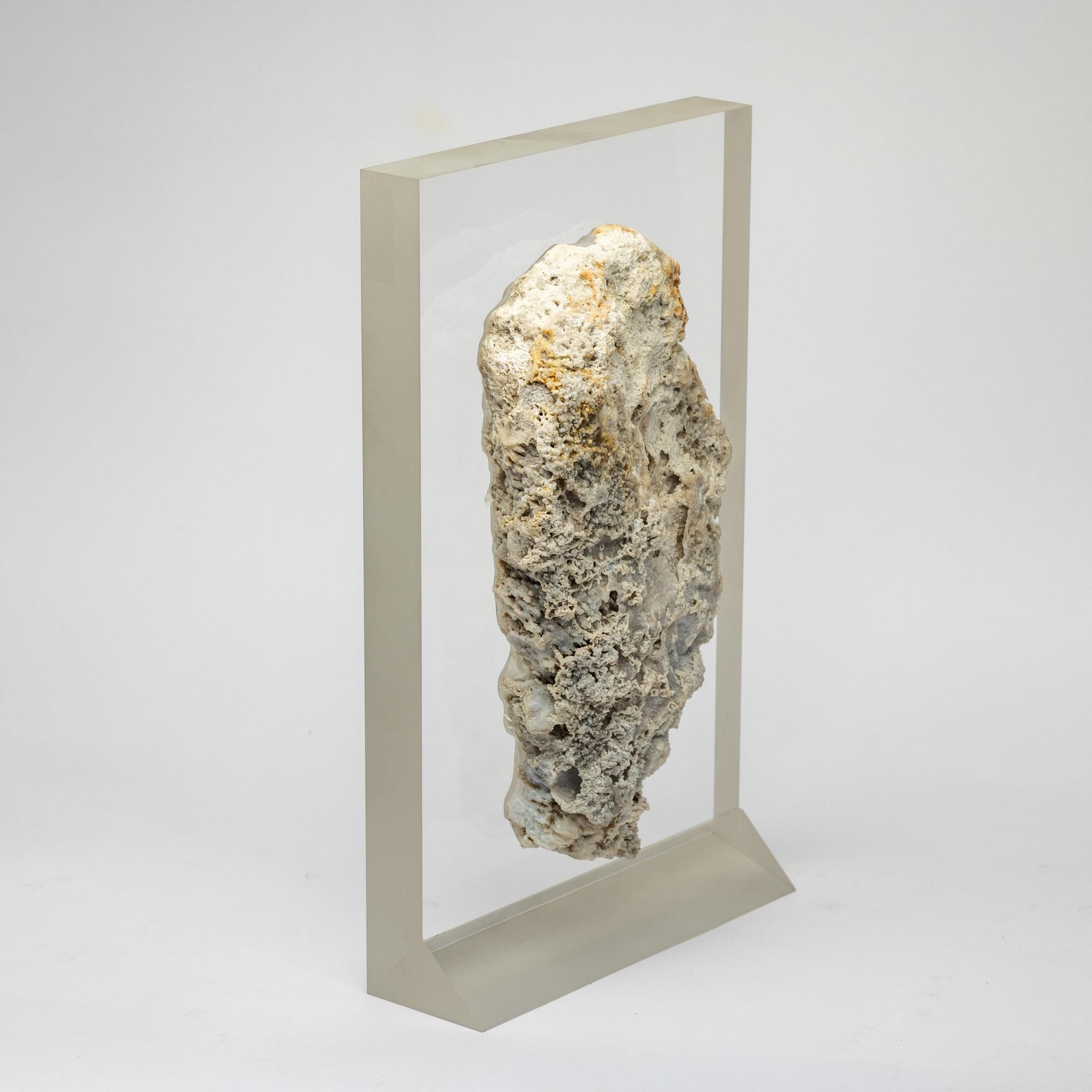 Agatized fossil Coral mounted on custom acrylic display, Oligocene era For Sale 1