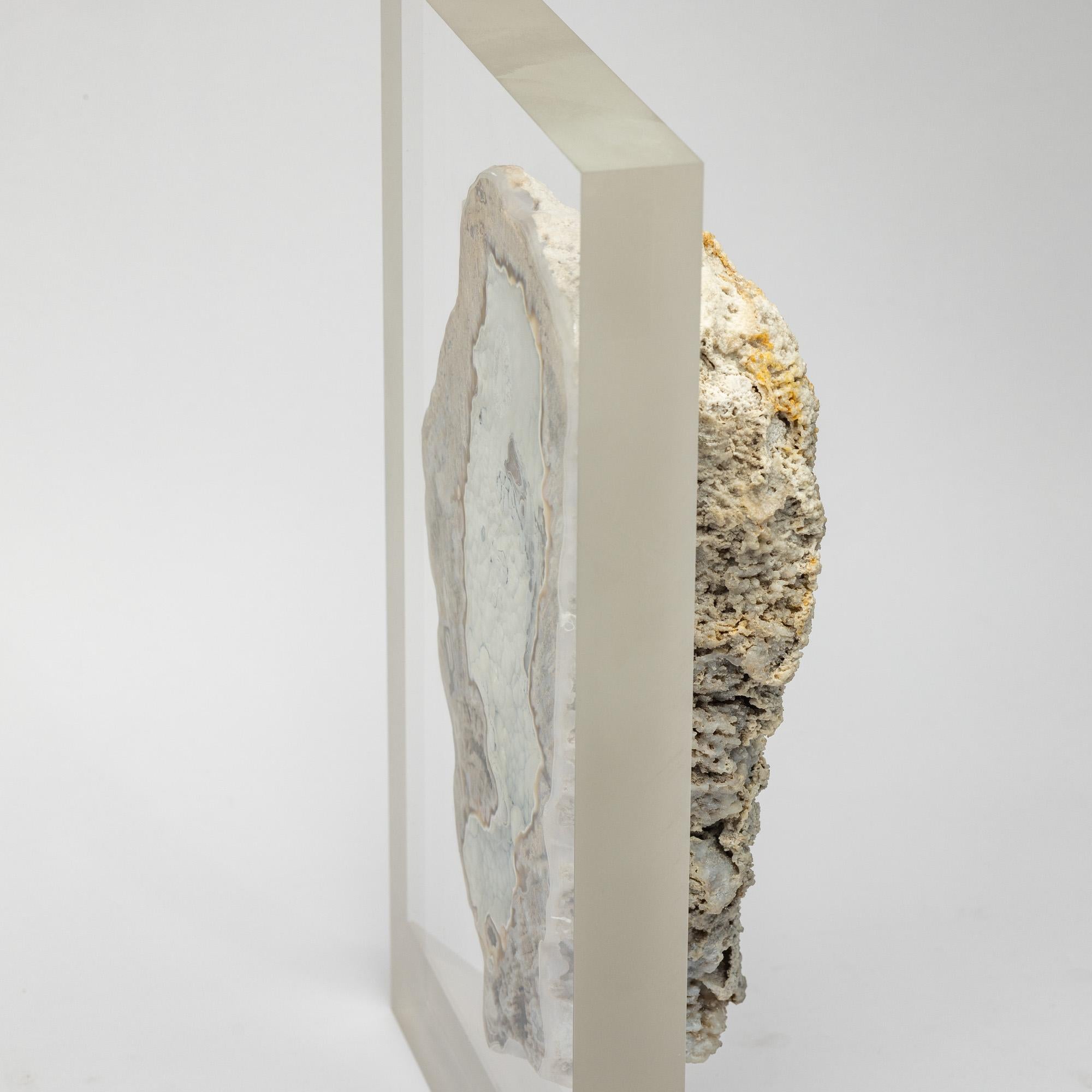 Agatized fossil Coral mounted on custom acrylic display, Oligocene era For Sale 2