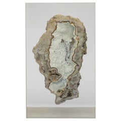 Agatized fossil Coral mounted on custom acrylic display, Oligocene era