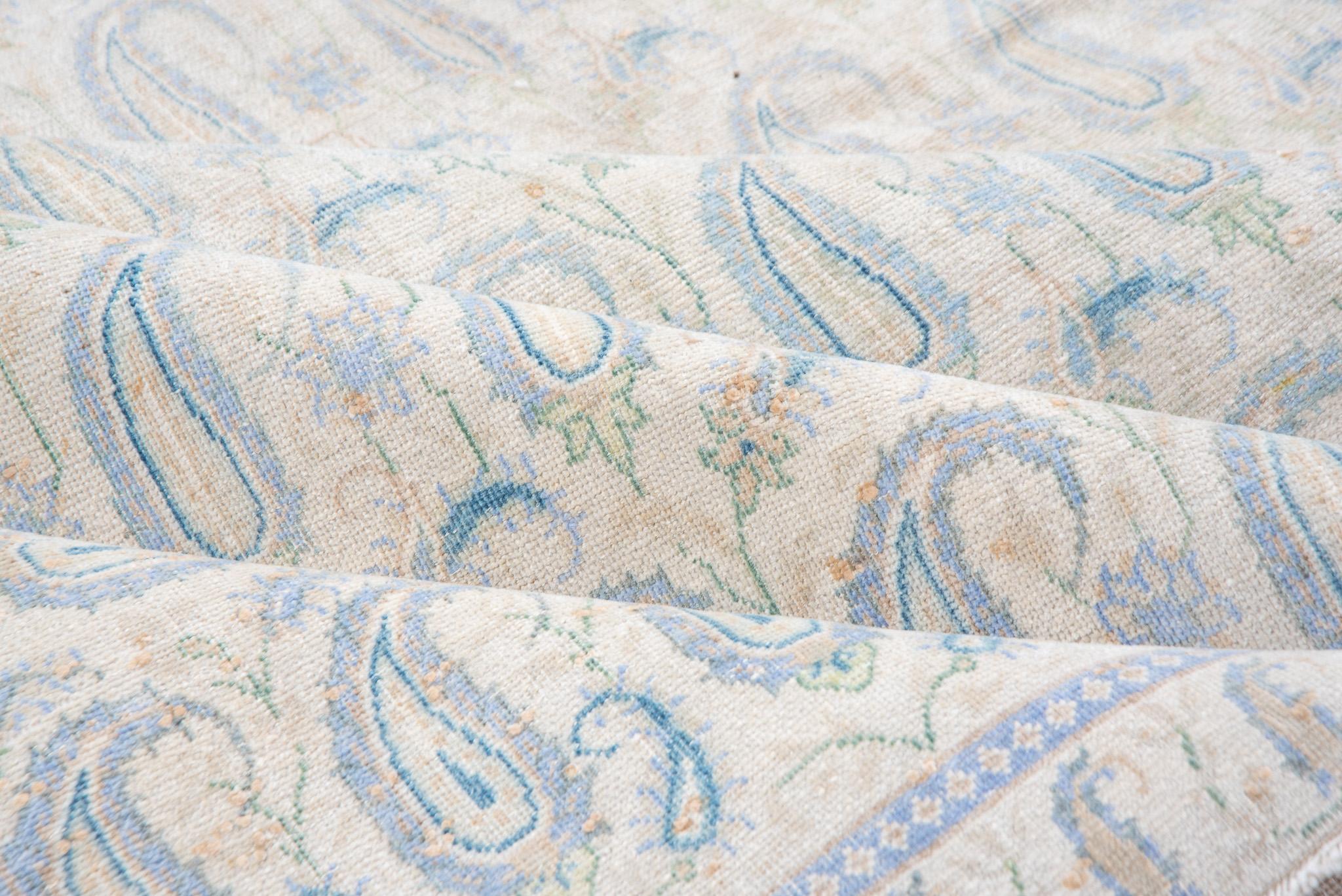 Turkish Aged Baby Blue Sivas For Sale