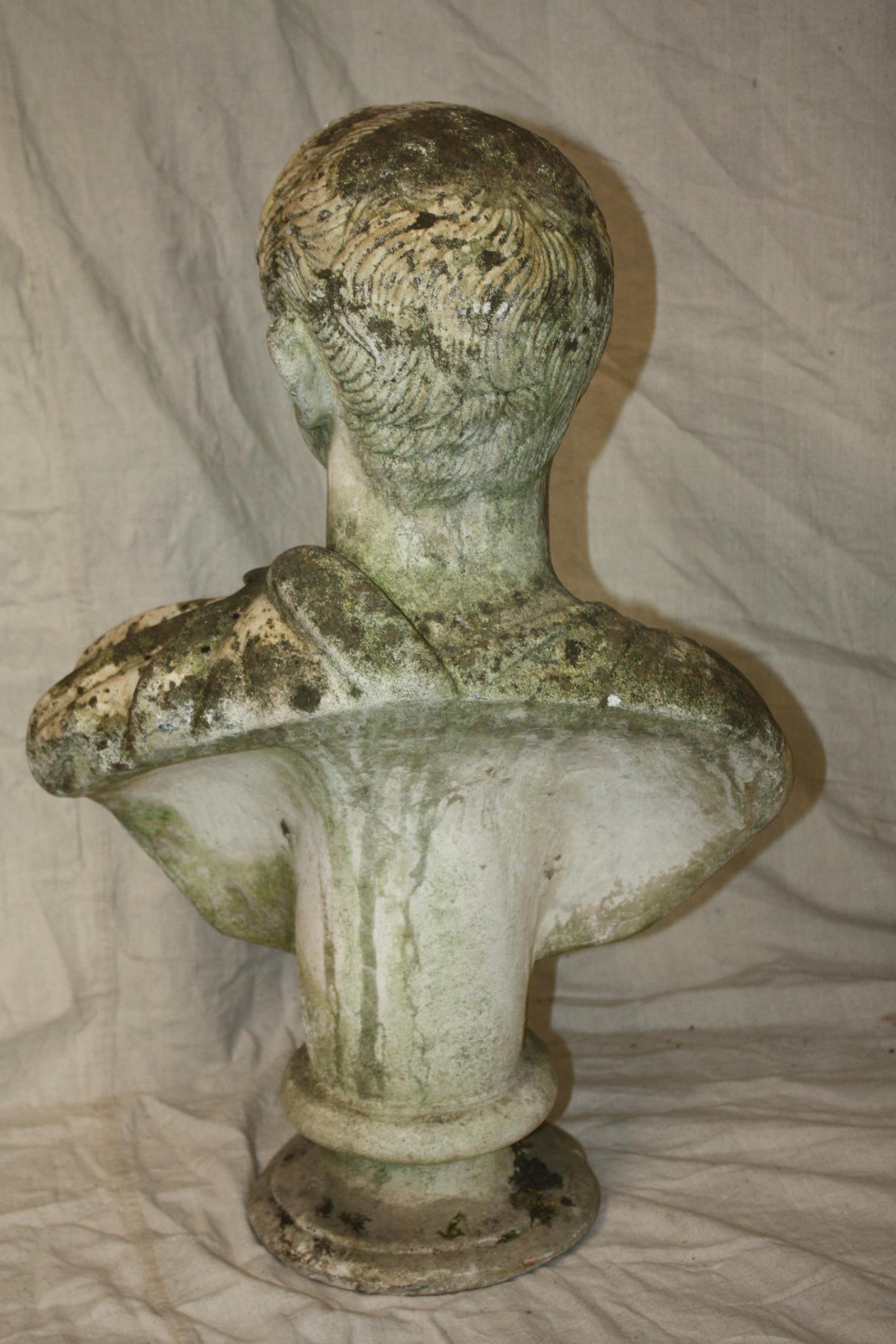 Aged French Bust 1