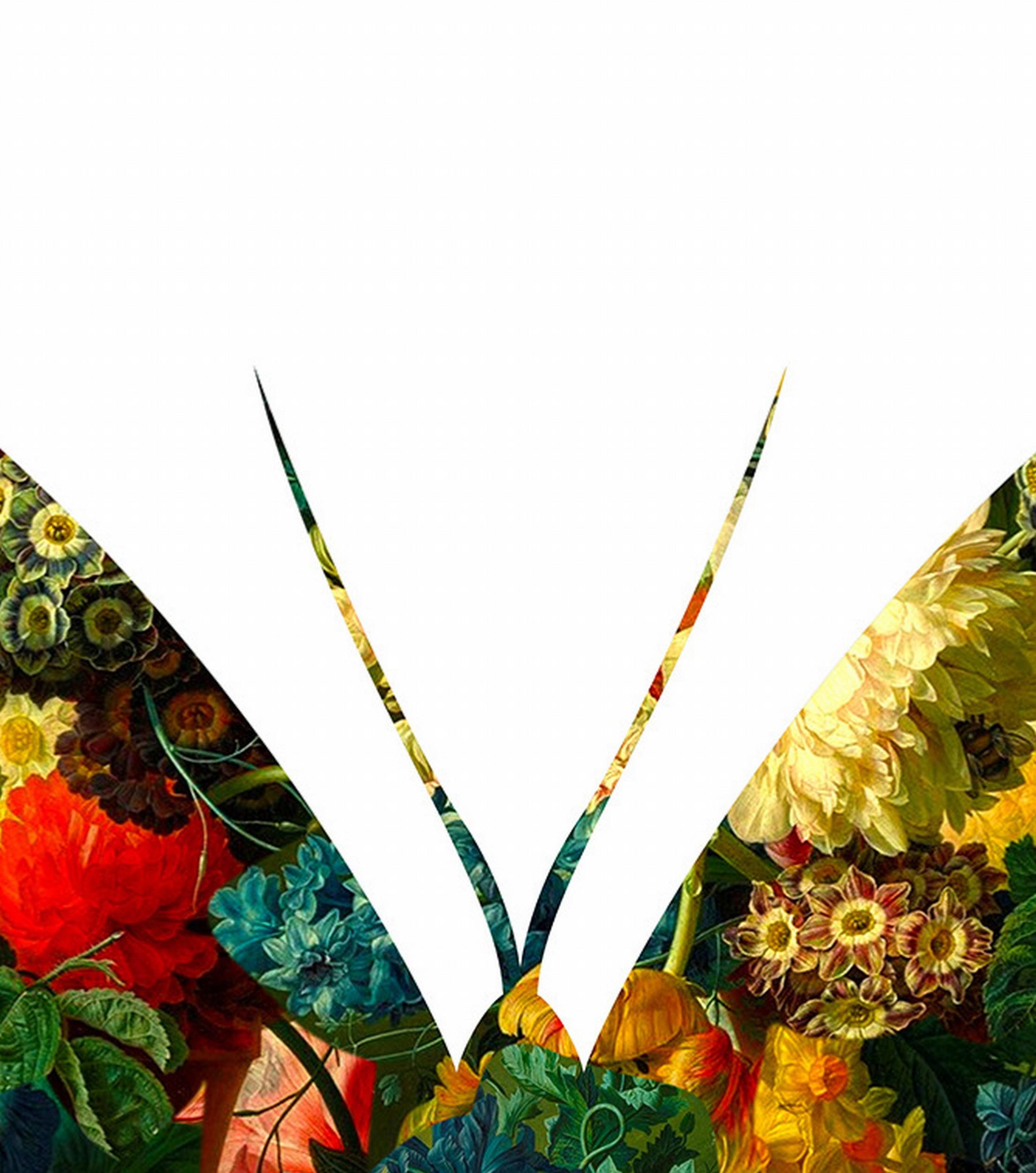 Mariposa sobre fondo blanco (Silueta, Naturaleza, Flores, Floral, Barroco) en venta 3