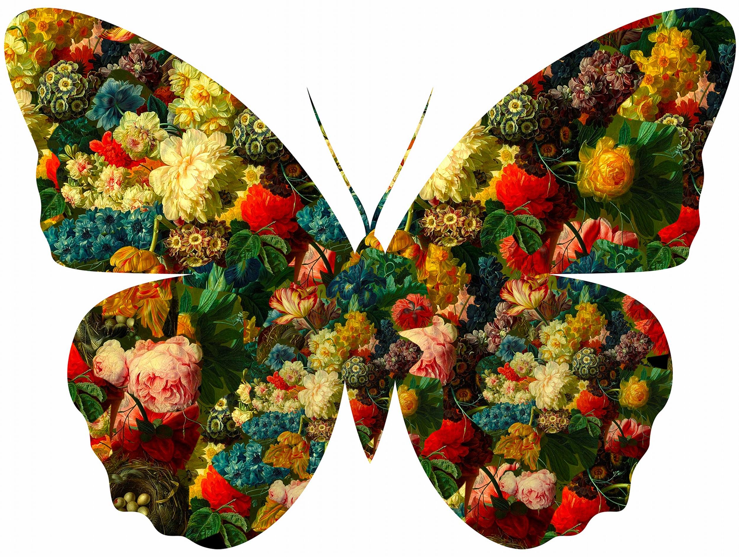 Animal Print de Agent X - Mariposa sobre fondo blanco (Silueta, Naturaleza, Flores, Floral, Barroco)
