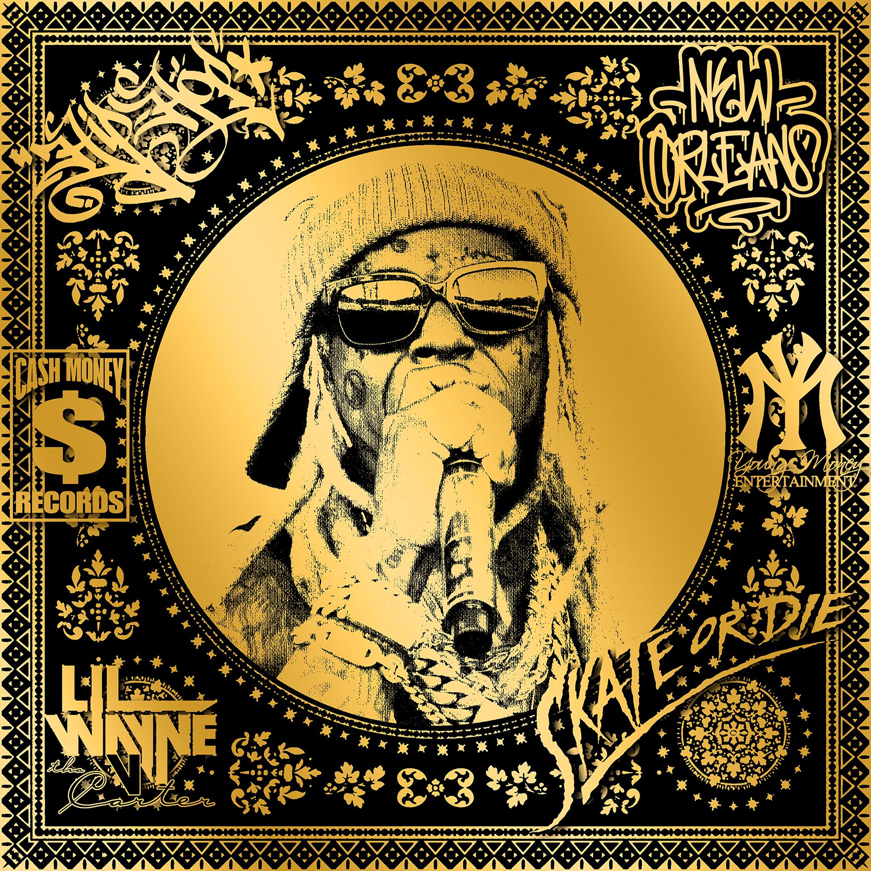 Lil Wayne (Gold) (50 Years, Hip Hop, Rap, Iconic, Artist, Musician, Rapper) - Print by Agent X