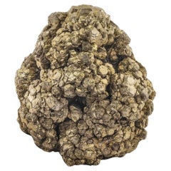 Aggregato di cristalli di pirite dorata con immagini scintillanti dal Pakistan