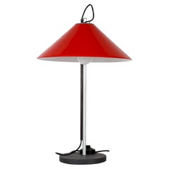 Aggregato Lamp by Enzo Mari & Giancarlo Fassina for Artemide, 1970s