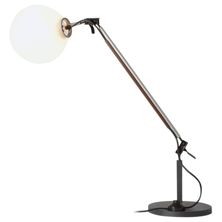Aggregato Table Lamp by Giancarlo Fassina and Enzo Mari