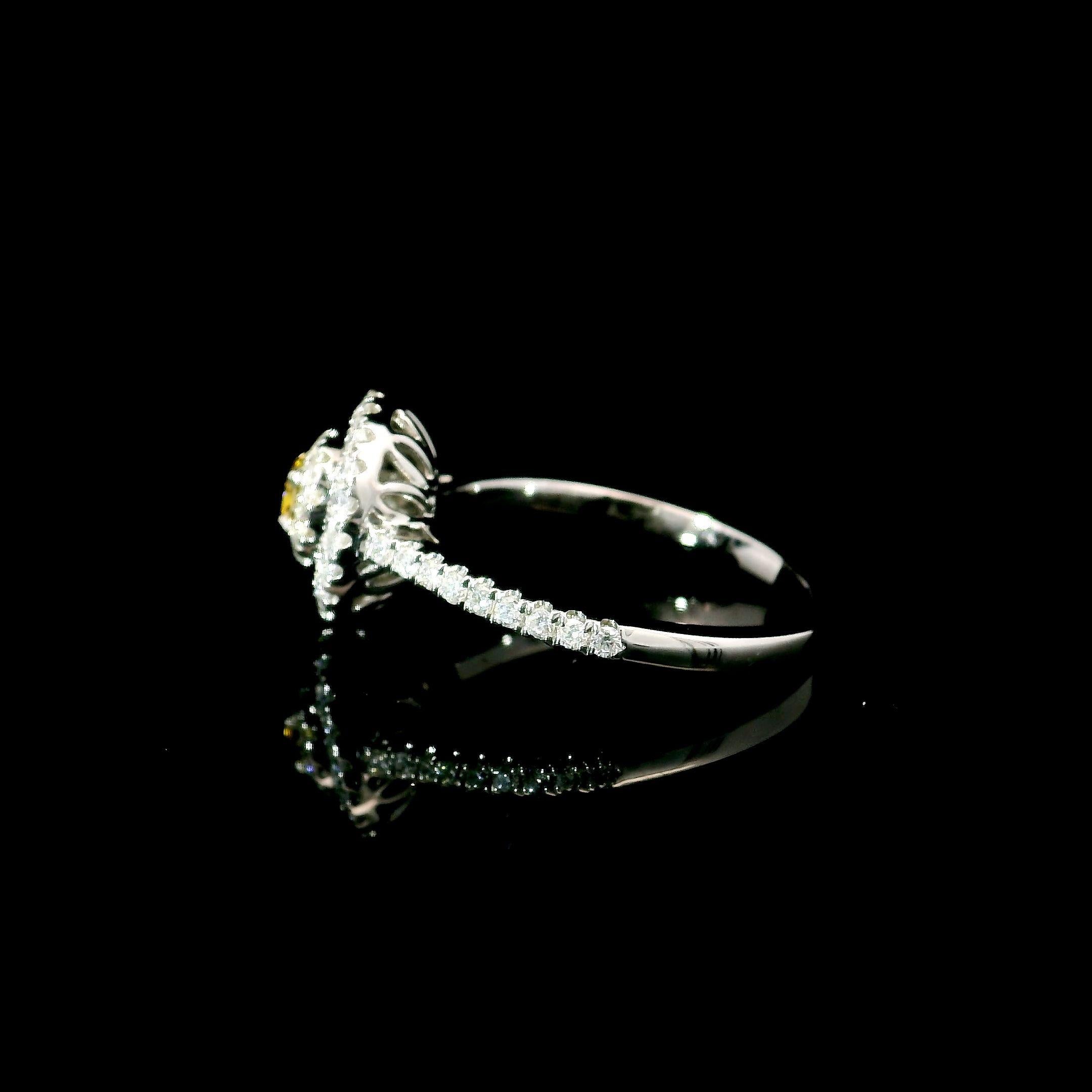 18kt white gold ring with diamonds
  
Gold colour & karat: White gold 18kt
Weight: 2.78 grams
  
Set with-
  Stone type: Diamonds
  Shape: Oval
  Carat: 0.098 ct
  Colour: Fancy Yellow
  Clarity: VS
  
  Surrounding Stones: Diamonds
 1) White
