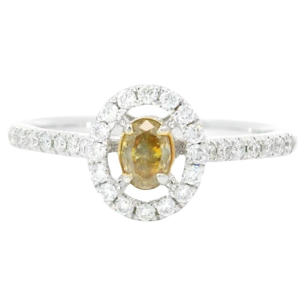 AGL Certified 0.179 Carat Deep Yellow SI1 Clarity Diamond Ring