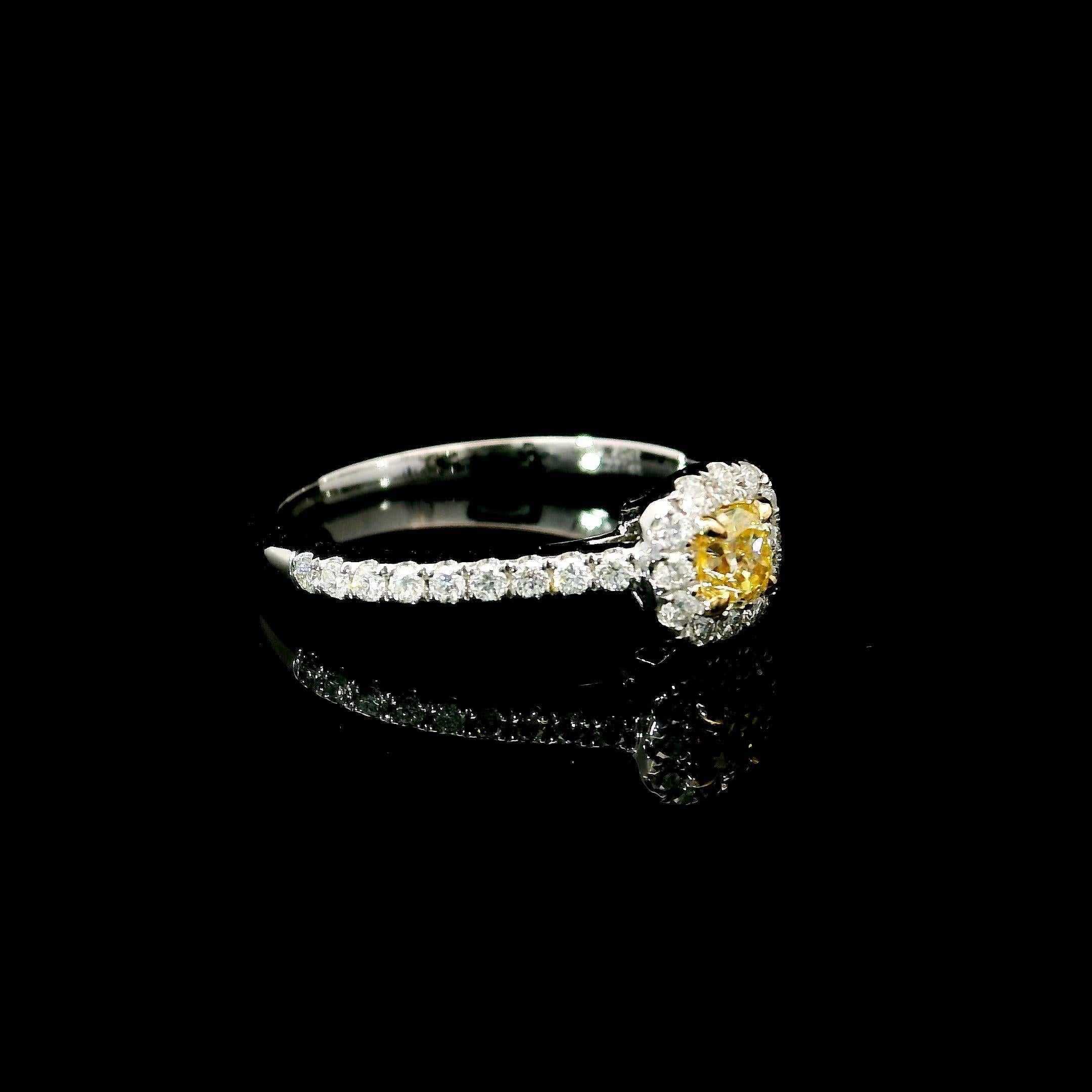 AGL Anillo de Diamantes Certificado de 0.20 Quilates Amarillo Intenso VS Claridad Corte cojín en venta