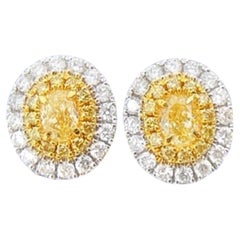 Clous d'oreilles en or blanc 18 carats avec diamants jaunes ovales certifiés AGL