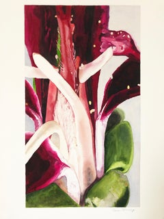 "Flower of Pelargonium sidoides", Watercolor Painting