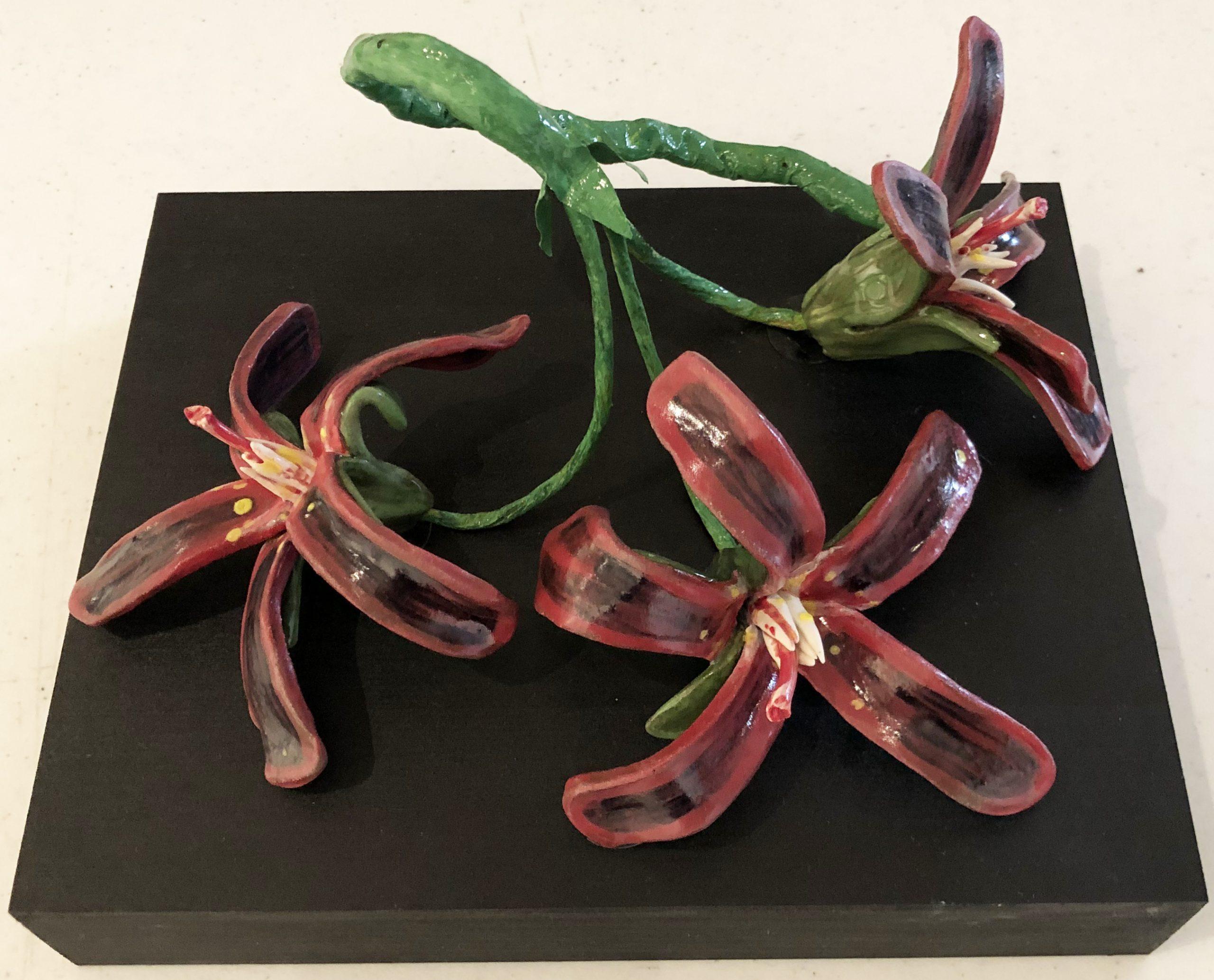 "Flower Umbrel of Pelargonium sidoides", Ceramic Still-Life Sculpture