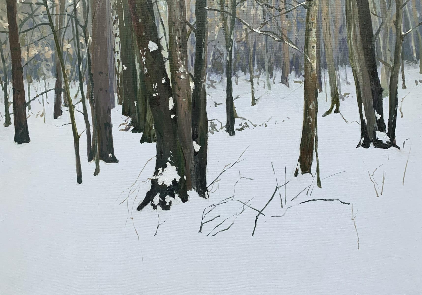 Im Schnee -  Figuratives realistisches Ölgemälde, Landschaft, polnischer junger Künstler