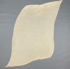 AGNONA Cream Cashmere / Silk Pleated Scarf