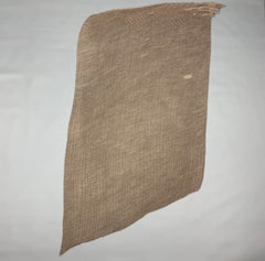 AGNONA Taupe Cashmere / Silk Pleated Scarf