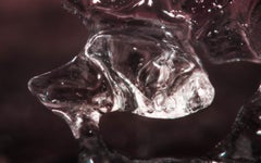 "Agonia", edizione limitata, fotografia astratta di Marko Milić