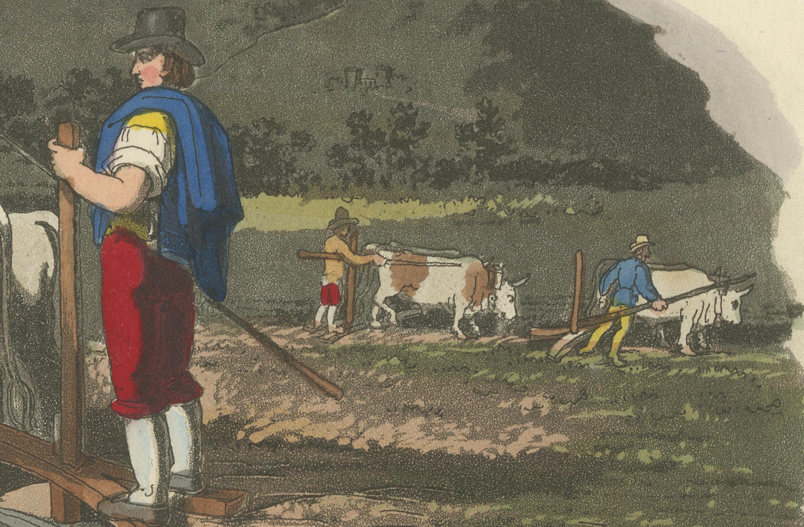 Landwirtschaftlicher Druck: Pflügen in der Campagna di Roma, 1820er Jahre - handkoloriert (Frühes 19. Jahrhundert) im Angebot