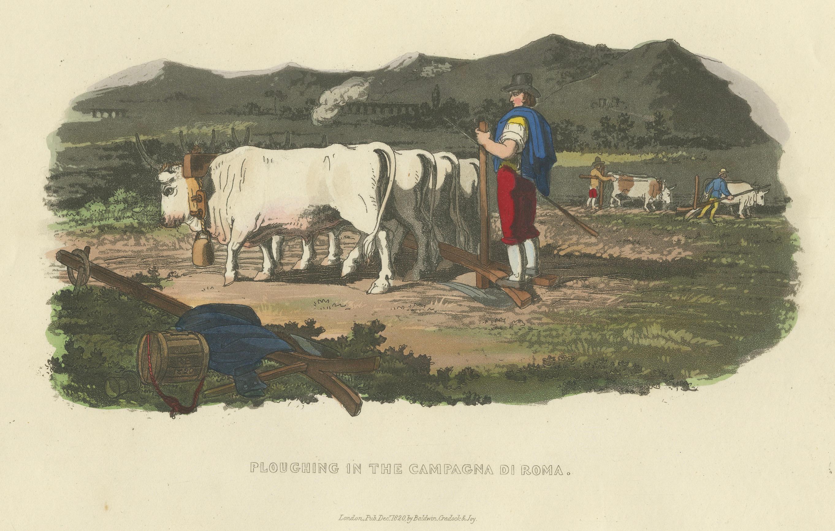 Landwirtschaftlicher Druck: Pflügen in der Campagna di Roma, 1820er Jahre - handkoloriert (Papier) im Angebot