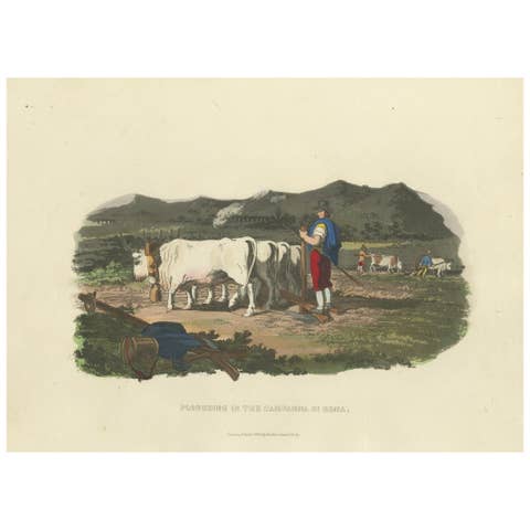 Agricultural Print: Ploughing in the Campagna di Roma, 1820s - Hand-Colored