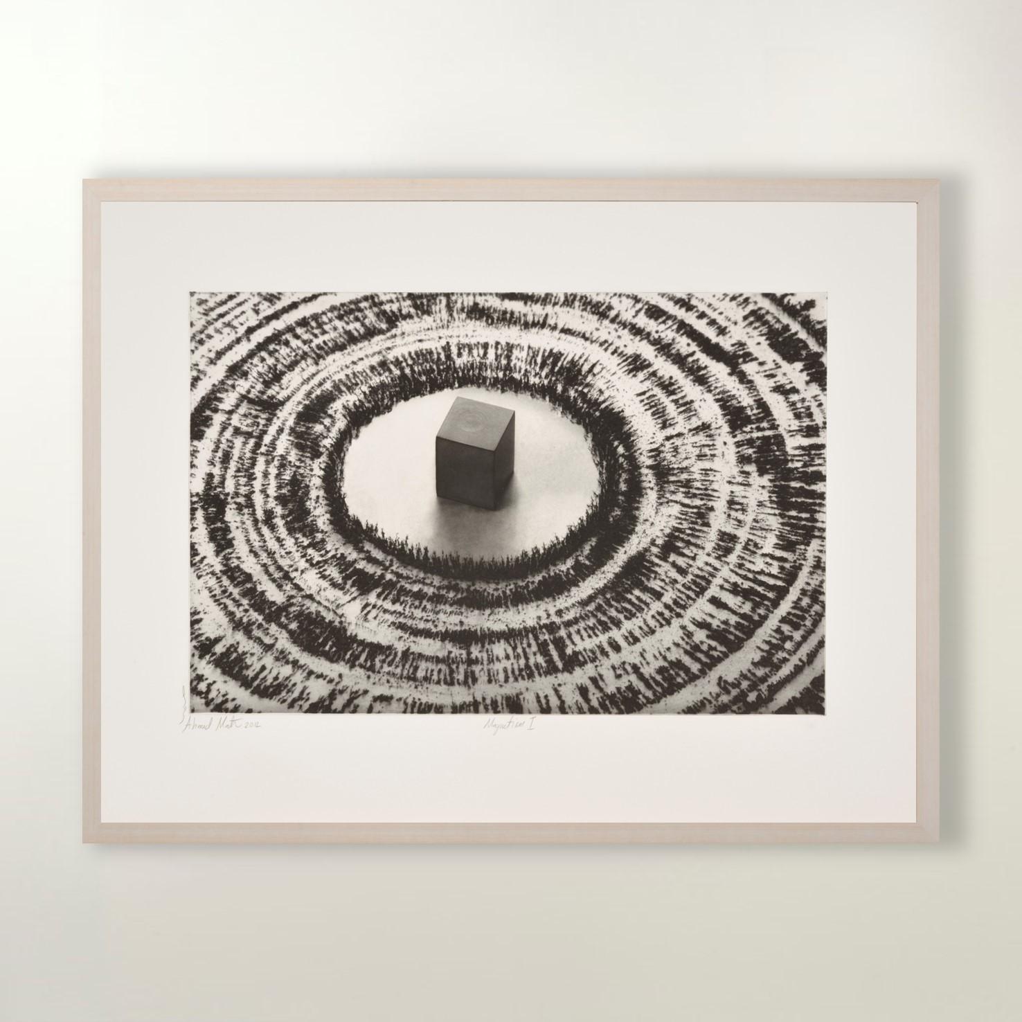 Magnetism (Portfolio of 4) by Ahmed Mater, Etching, Limited Edition For Sale 2