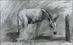 "Mule I" fusain sur papier Dessin de 12,5" x 20,5" pouces par Ahmed Saber