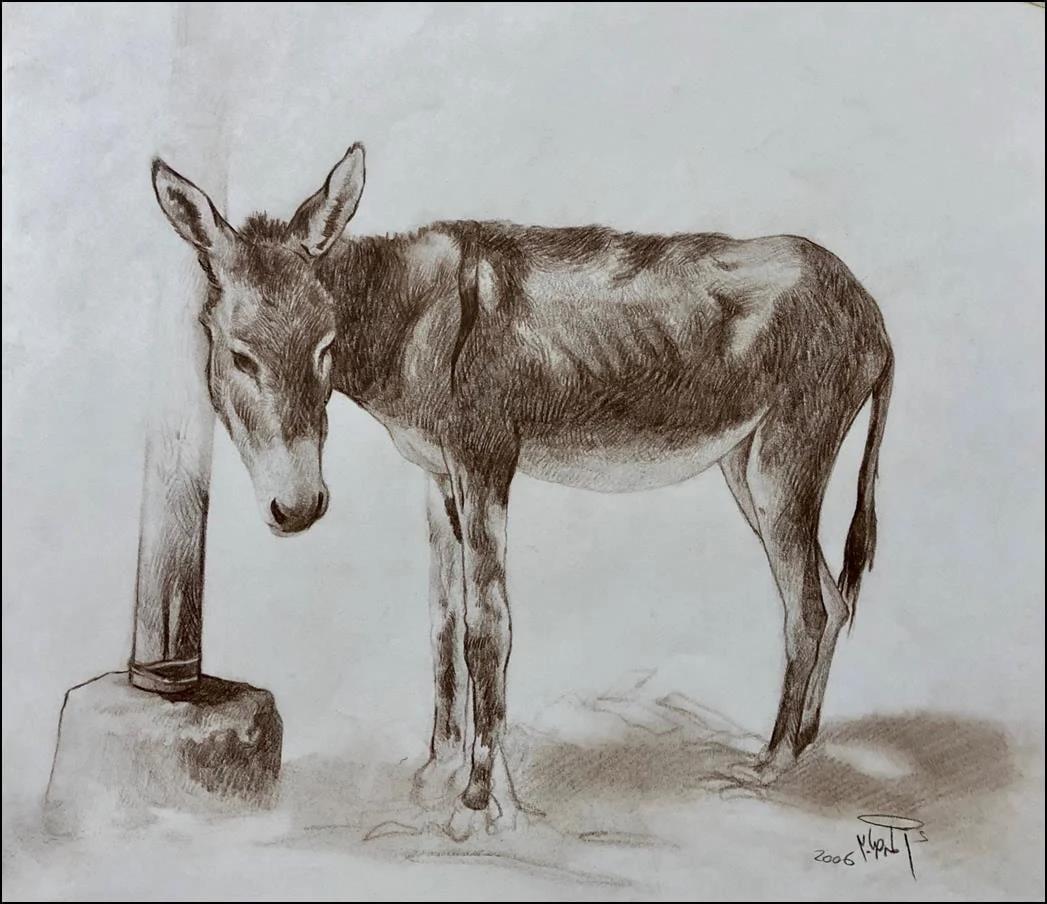 „Mule II“ Bleistift auf Papier Zeichnung 13" x 15" Zoll von Ahmed Saber