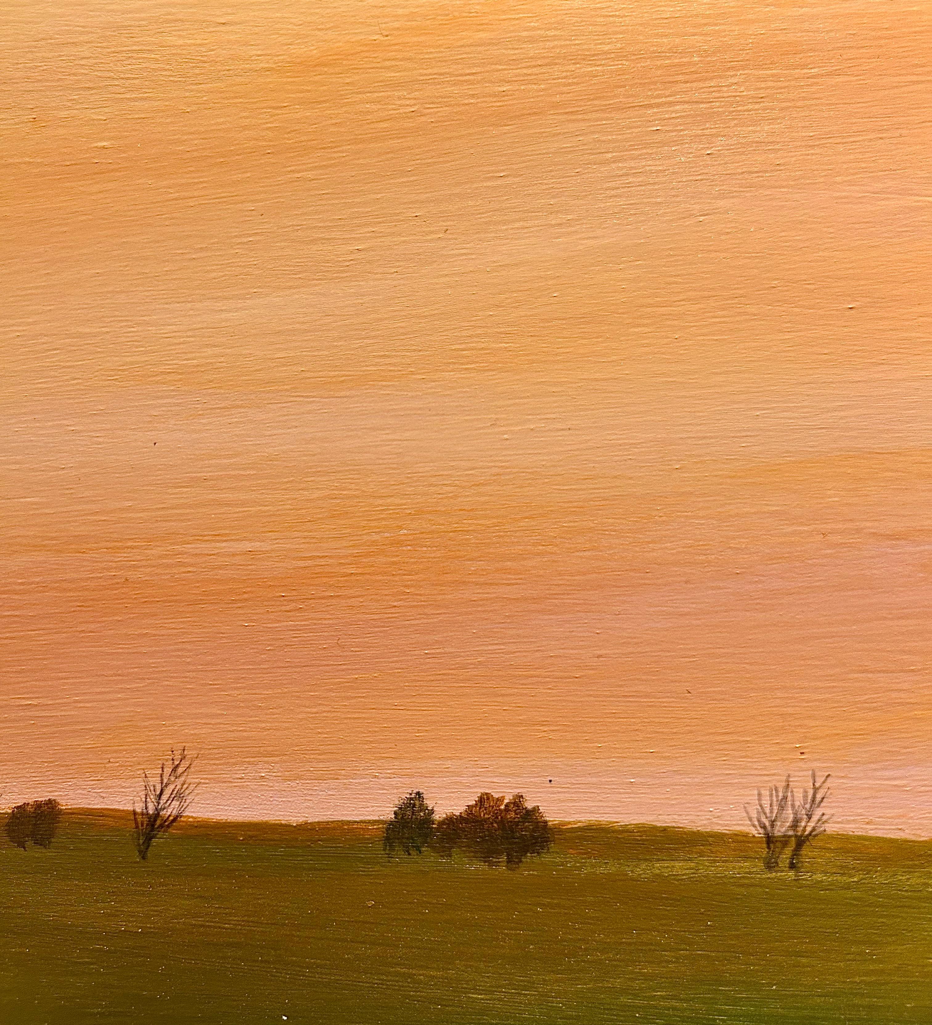 Dopo la pioggia a nord di Peoria - Pittura ad olio originale incorniciata di lungo formato - Painting Contemporaneo di Ahzad Bogosian