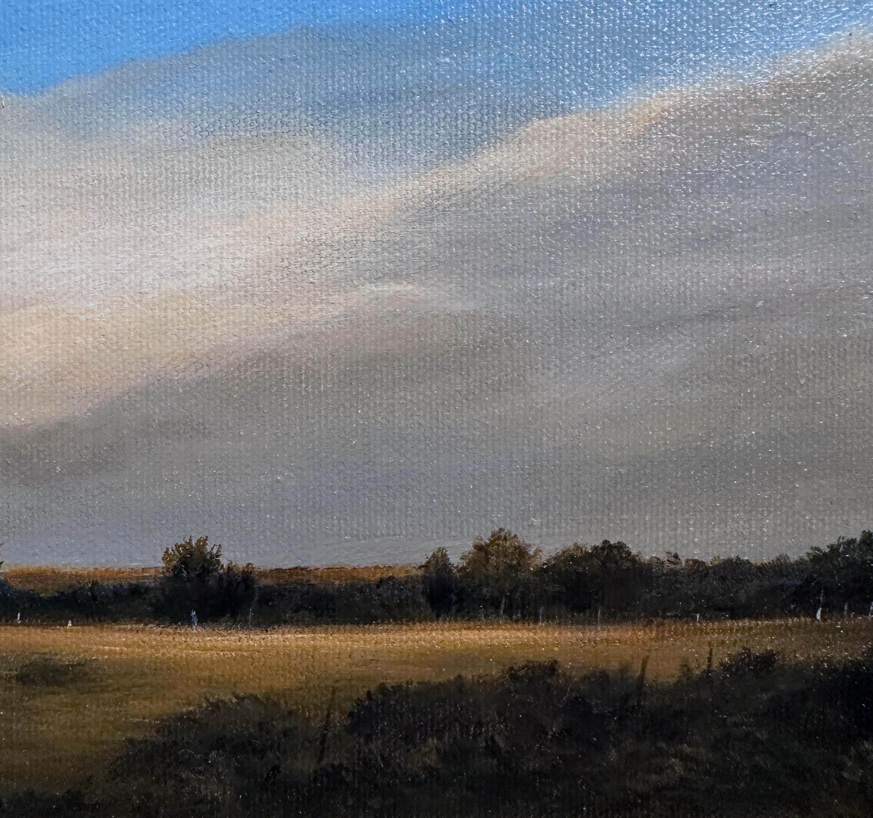 Bright blue sky peaks though hazy clouds in this serene Midwestern landscape as only Ahzad Bogosian can capture.  This tranquil landscape, devoid of any human interaction, captures the complexities and beauty of mother nature.  This small painting