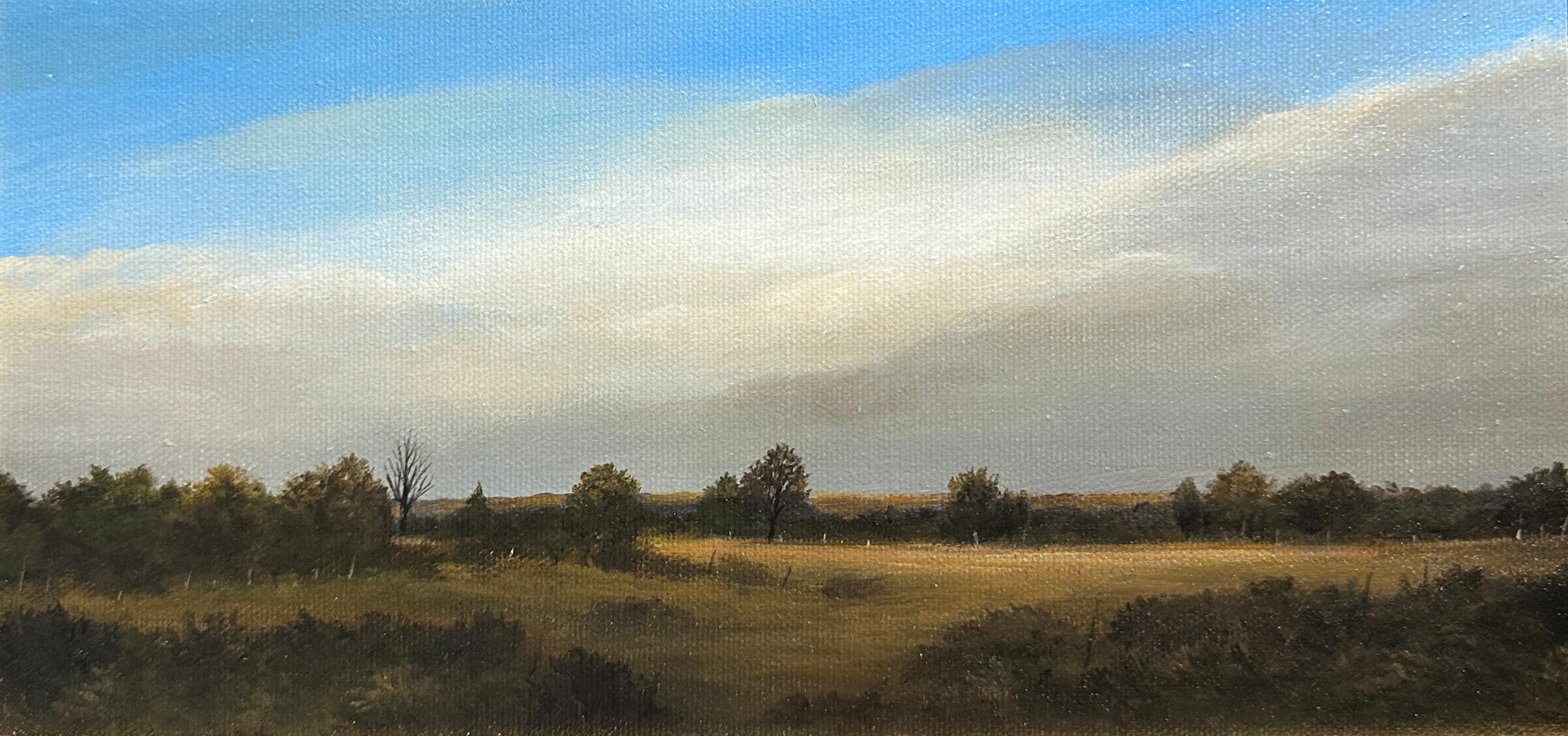 Early November - Serene Wooded Landscape with Cloud Filled Sky, Original Oil 2