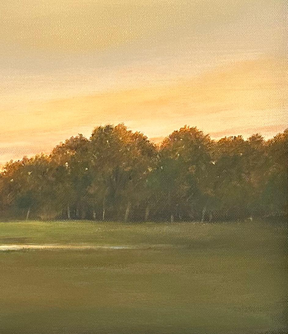 Mirador de Otoño - Cielo Dorado Reflejado en un Pequeño Estanque, Pintura de Paisaje Pastoral en venta 1