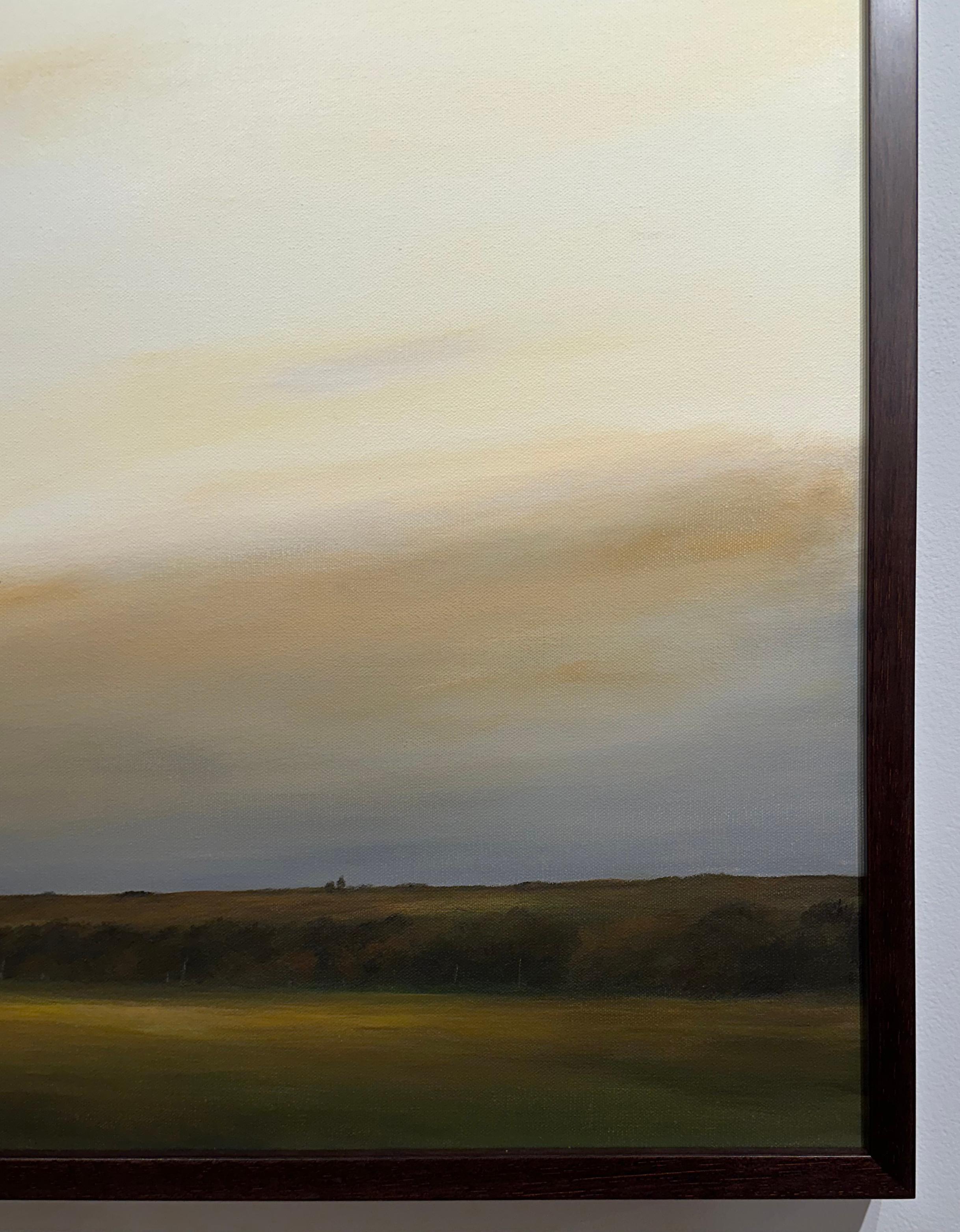 Hille e campi a nord di Madison - Paesaggio con cielo dorato, pittura in vendita 1