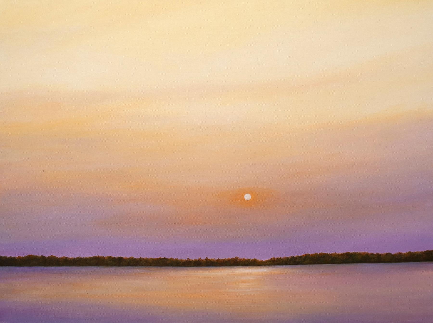Utilizzando i paesaggi del Midwest e dell'Ovest come fonti per i suoi dipinti ricchi di atmosfera, Bogosian ha sviluppato un'ampia serie di opere mozzafiato. Secondo Bogosian, "Il mio lavoro è una risposta alle qualità atmosferiche e sublimi e