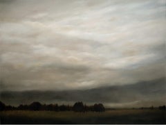 Meadow After the Rain - Serene Landscape with Expansive Stormy Sky