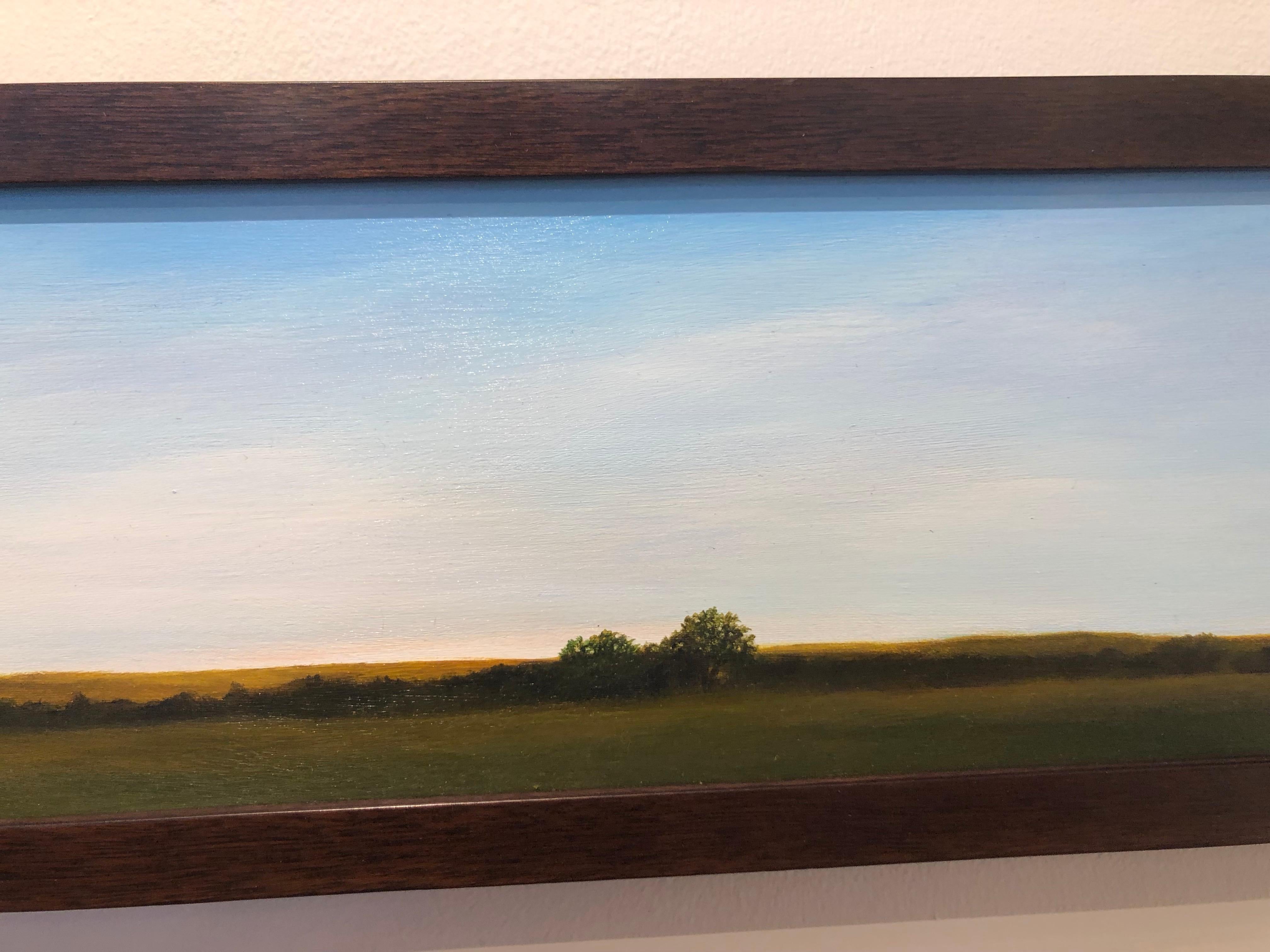 Mid Morning Looking North - Long Thin Landscape Painting Unusually Shaped 5